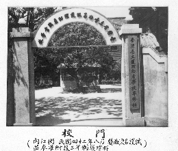 文章的圖片