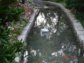 「思念泡之旅」：讓追思懷想順著河道轉折浮沈。