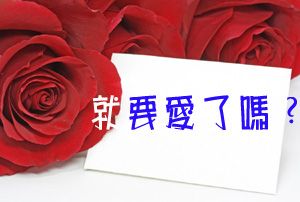 文章的圖片