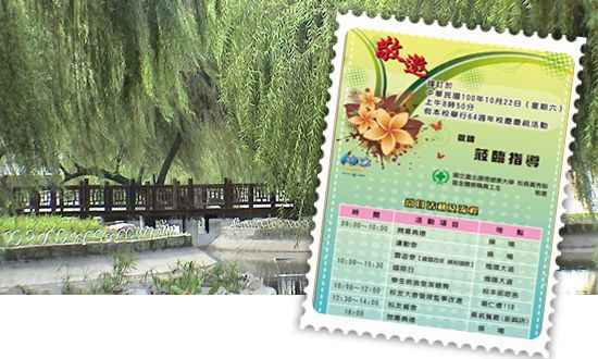 文章的圖片