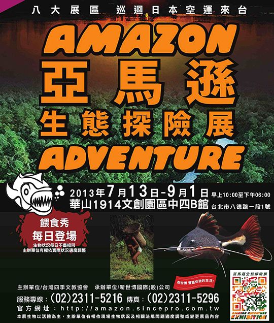 文章的圖片