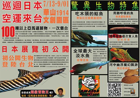 簡介