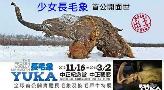 展覽海報