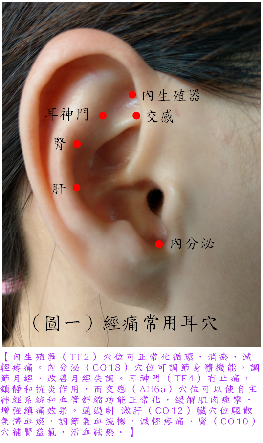 文章的圖片