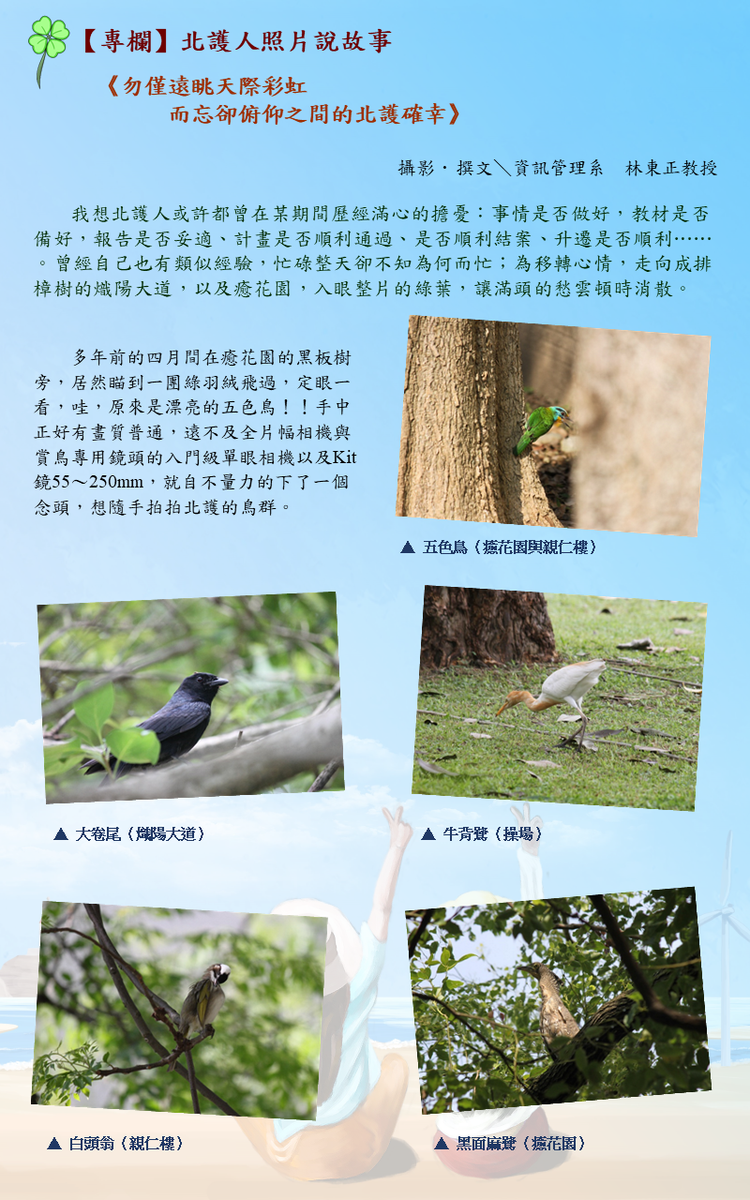 文章的圖片