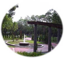 文章的圖片