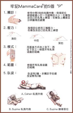 文章的圖片