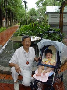 文章的圖片