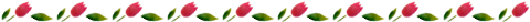 文章的圖片